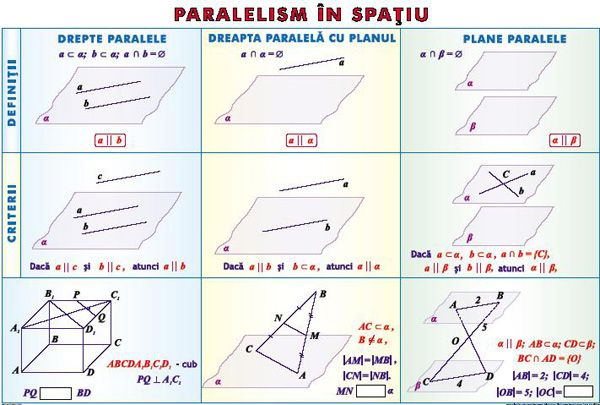 Elemente de teoria probabilitatilor/ Paralelism in spatiu (duo) [2]