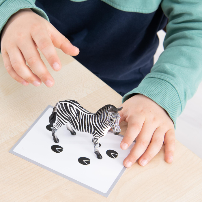 Figurine animale Montessori [4]