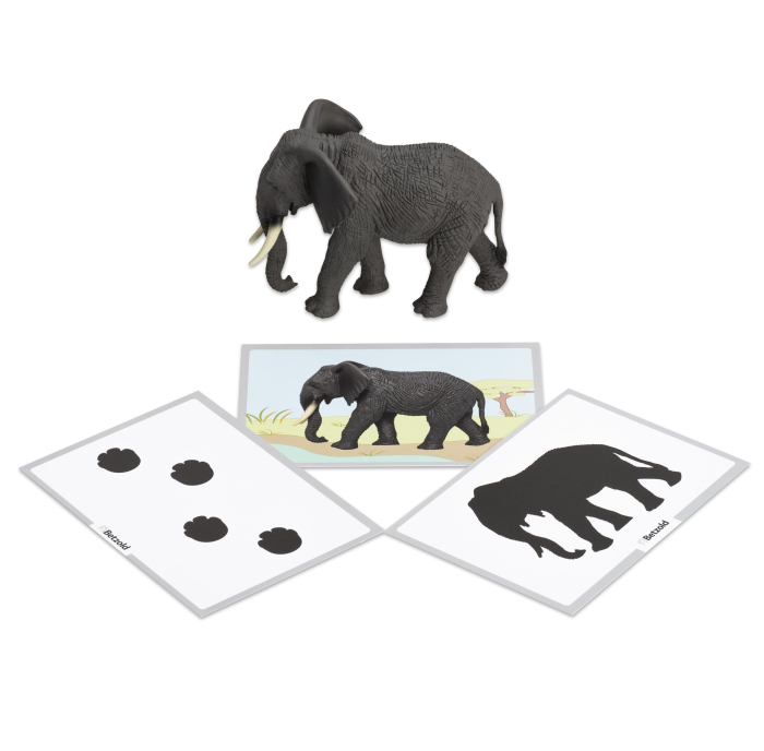 Figurine animale Montessori [5]