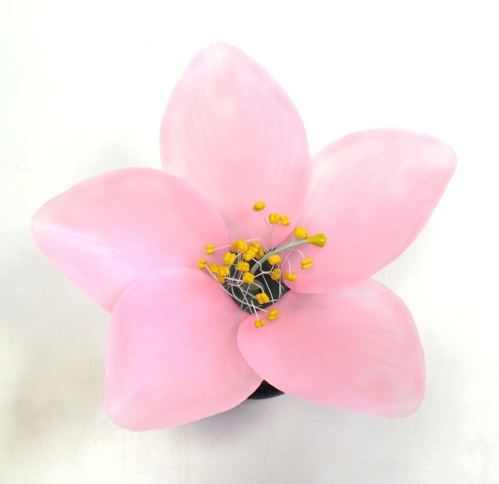 Floare de piersic [7]