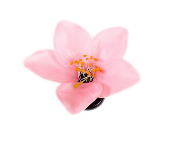 Floare de piersic [6]