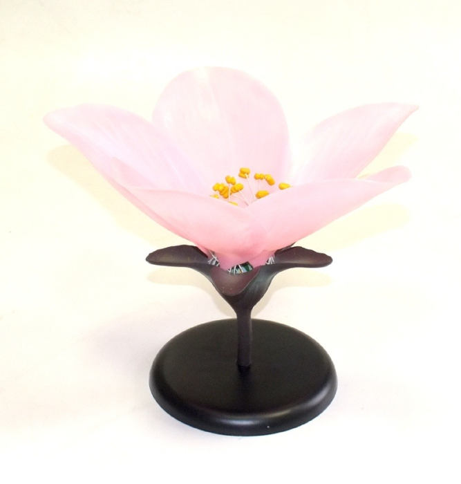 Floare de piersic [8]