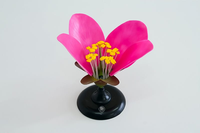 Floare de piersic [2]