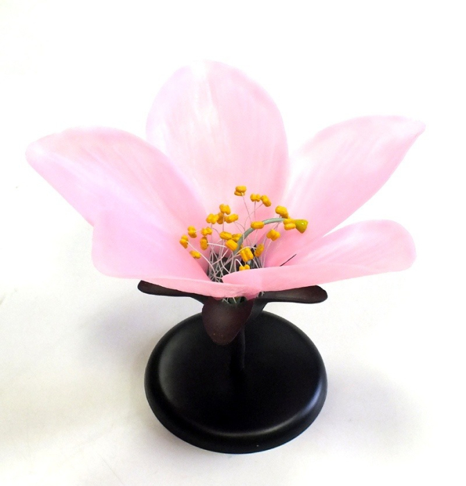 Floare de piersic [3]