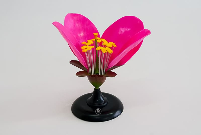 Floare de piersic [4]