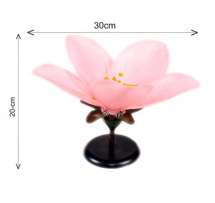 Floare de piersic [10]