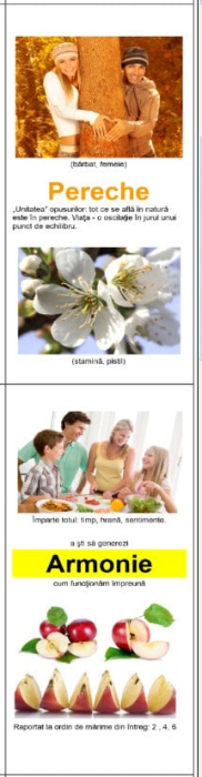 Harta matematica pentru multimi de numere [5]