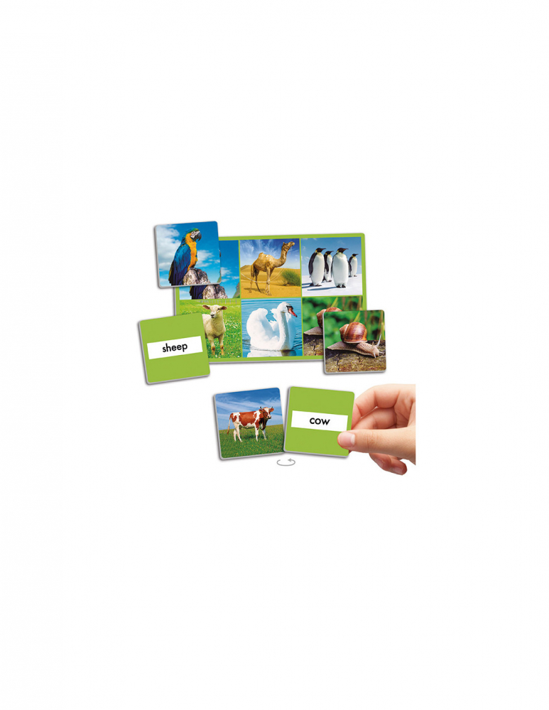 Joc loto cu 72 de animale [4]