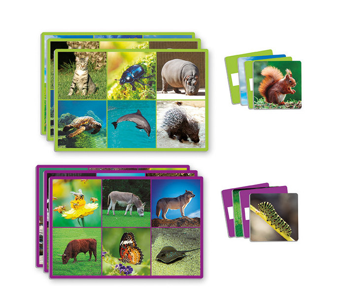 Joc loto cu 72 de animale [2]
