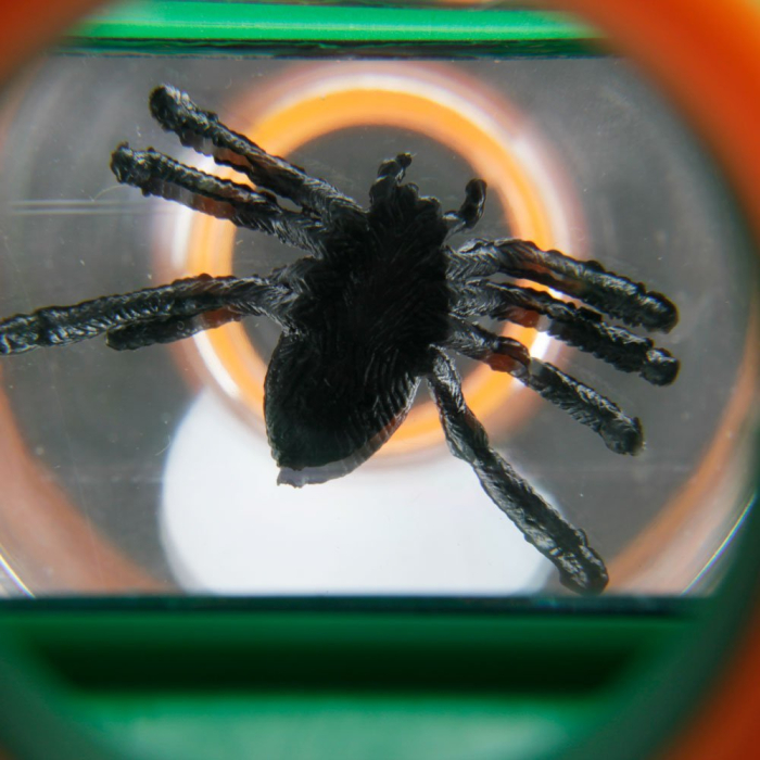 Lupa vizor pentru studierea insectelor Edu Toys [11]