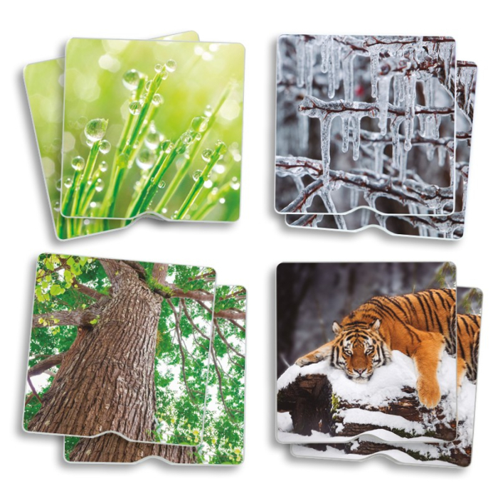 Maxi-Memory Tactil - Natura [5]
