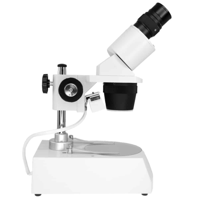 Microscop stereoscopic [6]