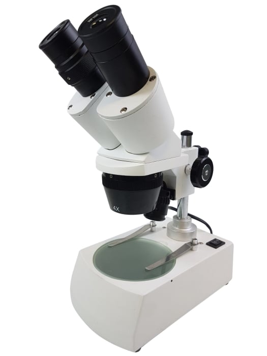 Microscop stereoscopic [1]