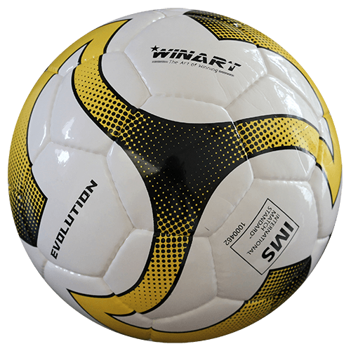 Minge fobal Evolution FIFA IMS quality [1]