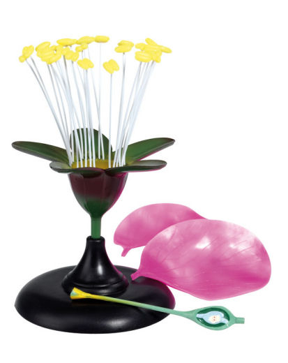 Model floare de cires [2]