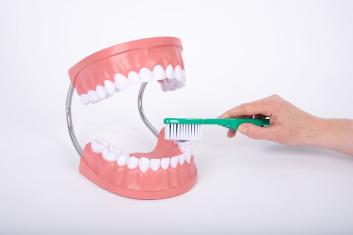 Model de ingrijire dentara gigant multicolor Edutoys [5]
