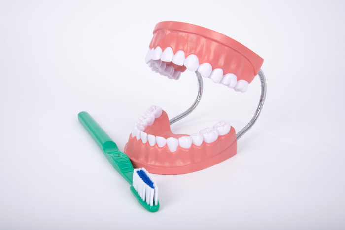 Model de ingrijire dentara gigant multicolor Edutoys [11]