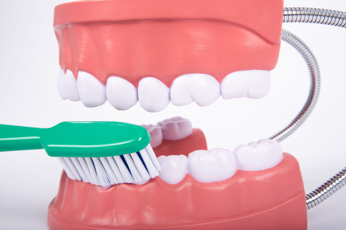 Model de ingrijire dentara gigant multicolor Edutoys [9]
