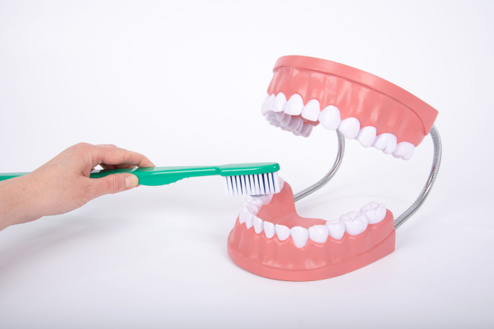Model de ingrijire dentara gigant multicolor Edutoys [8]