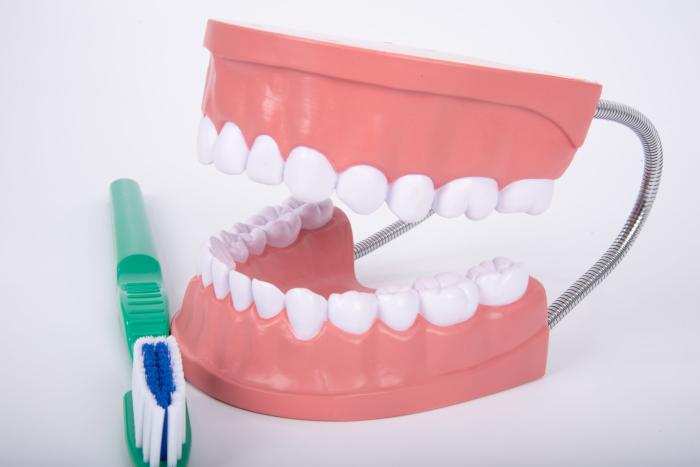 Model de ingrijire dentara gigant multicolor Edutoys [7]