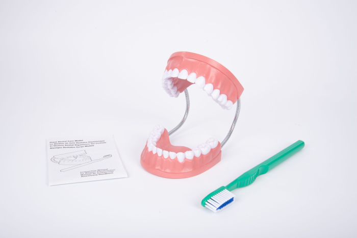 Model de ingrijire dentara gigant multicolor Edutoys [10]