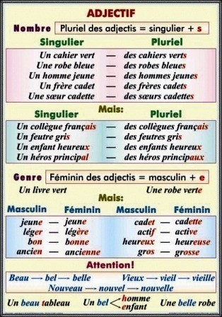 Noms de nombre. Les nombres cardinaux. Les nombres ordinaux. Le fractions/Adjectif. Nombre. Genre. [2]