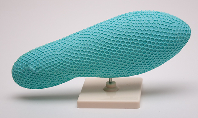 Parameciul model [4]