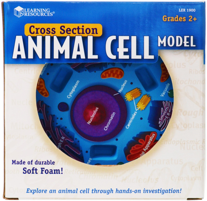 Sectiunea celulei animale [4]