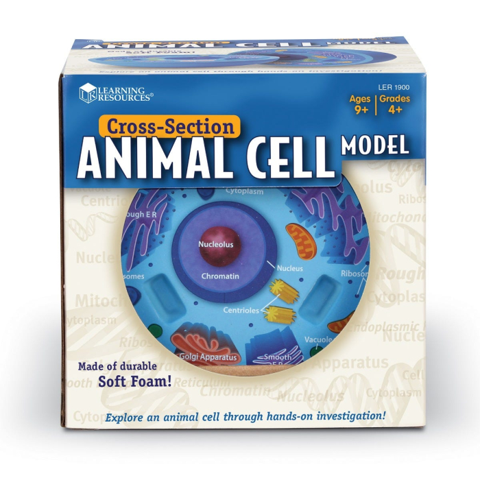 Sectiunea celulei animale [5]
