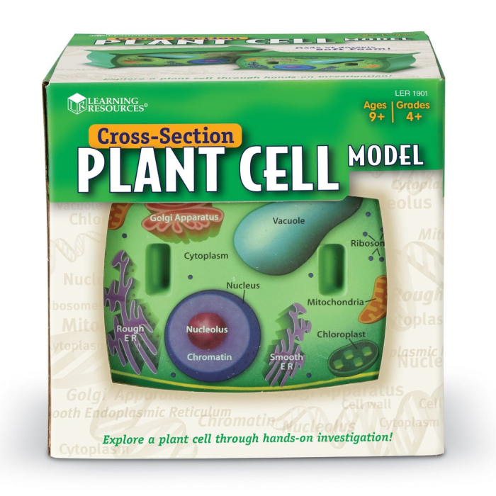 Sectiunea celulei plantei [5]