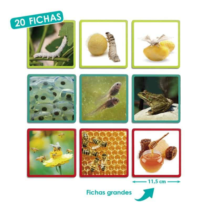 Secvente - ordine naturala [2]