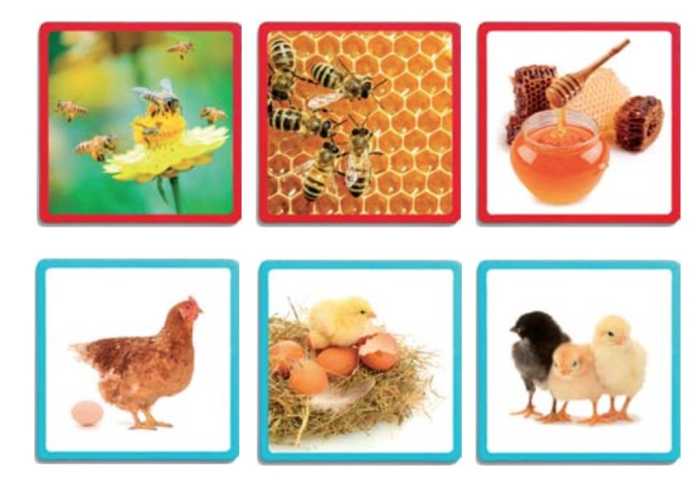 Secvente - ordine naturala [5]
