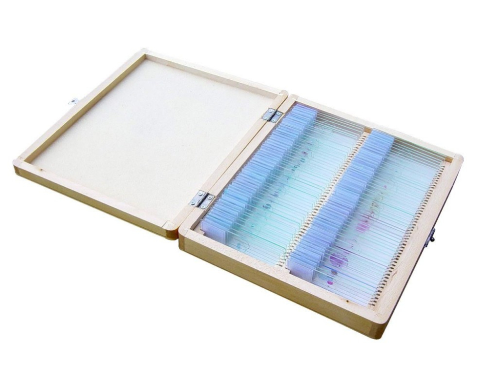 Set 100 preparate microscopice – BIOLOGIE GENERALA [3]
