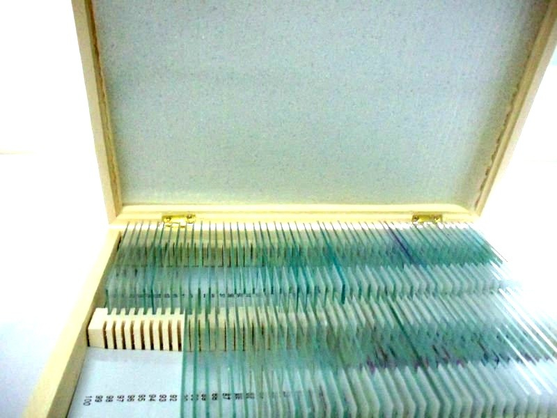 Set 100 preparate microscopice – BIOLOGIE GENERALA [2]