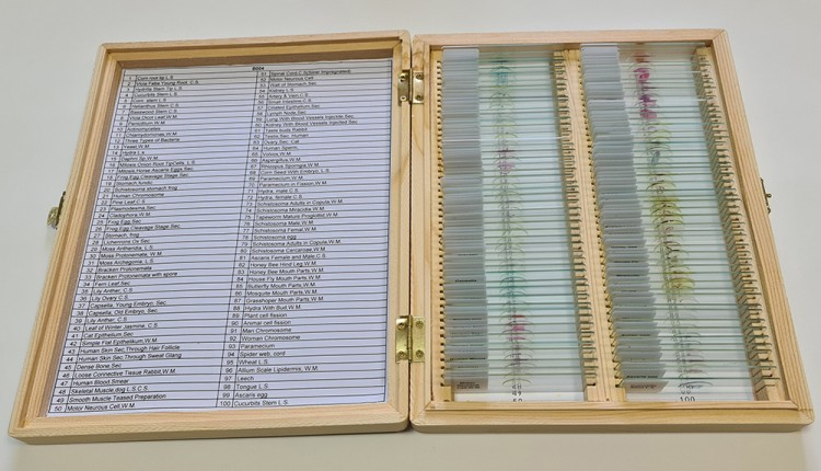 Set 100 preparate microscopice – BIOLOGIE GENERALA [4]
