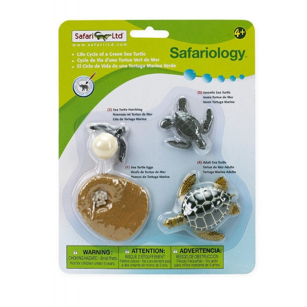 Set de figurine, ciclul vietii la testoasa de mare [1]