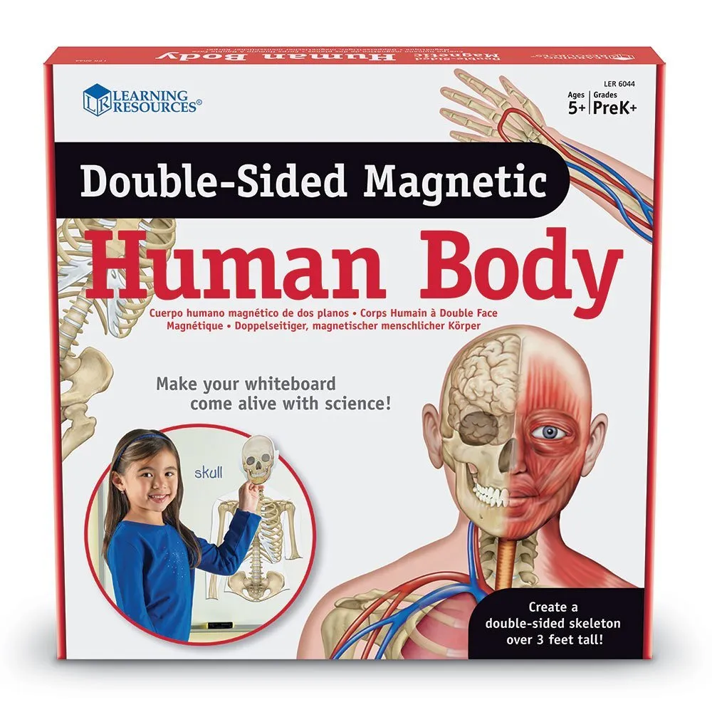 Set magnetic educational pentru copii 17 piese Corpul Uman pentru copii [5]