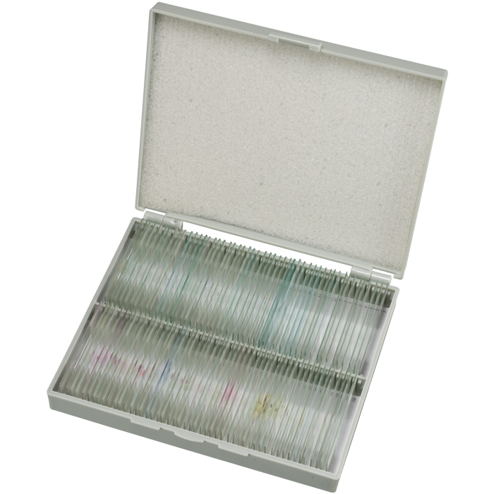 Set preparate microscopice [2]