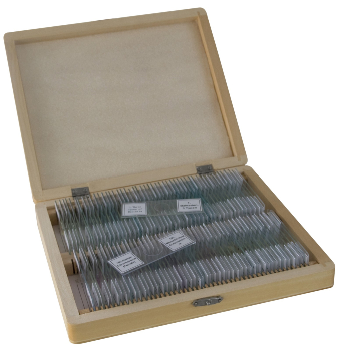 Set preparate microscopice [1]