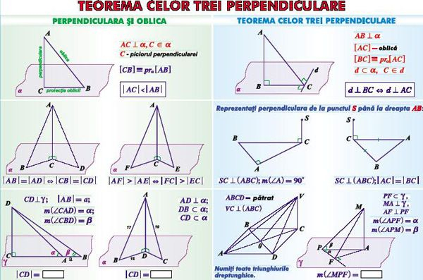 Teorema celor trei perpendiculare/ Sfera circumscrisa corpurilor de rotatie (duo) [1]