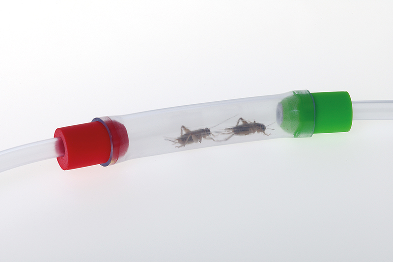 Tub colectare insecte – Pooter [3]