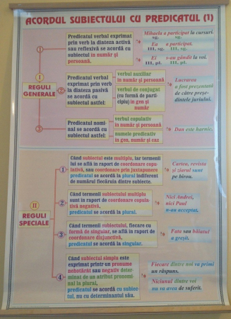 Limba romana - Acordul subiectului cu predicatul (1) / Procedee de expresivitate artistica (1)