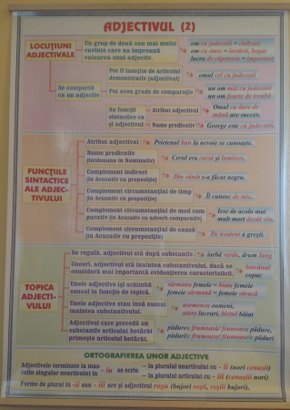 Limba romana - Adjectivul (2) / Interjectia