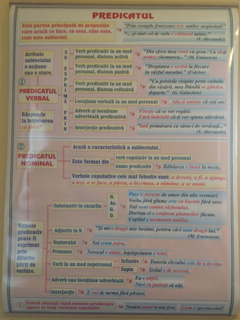 Articolul / Predicatul [1]