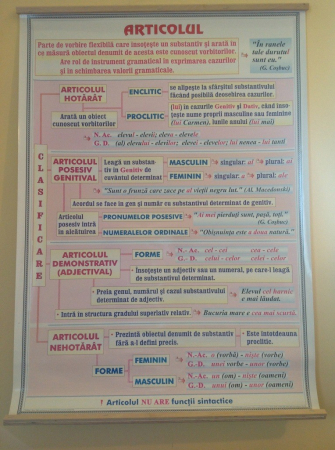 Limba romana - Articolul / Predicatul