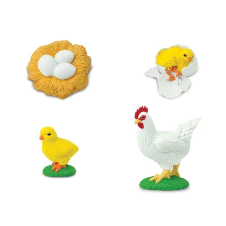 Set de figurine, ciclul vietii la gaina [5]