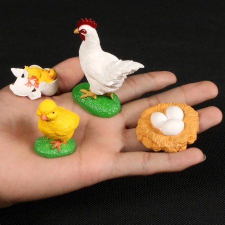 Set de figurine, ciclul vietii la gaina [2]