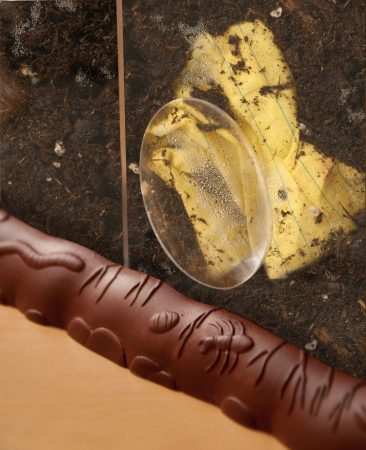 Compostarea deseurilor [5]