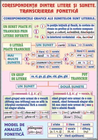 Limba romana - Corespondenta dintre litere si sunete / Componentele circumstantiale (2)