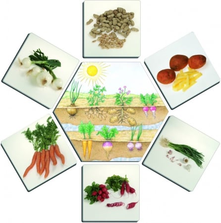 De unde provin alimentele